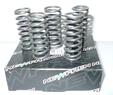 CLUTCH SPRINGS CBR600RR